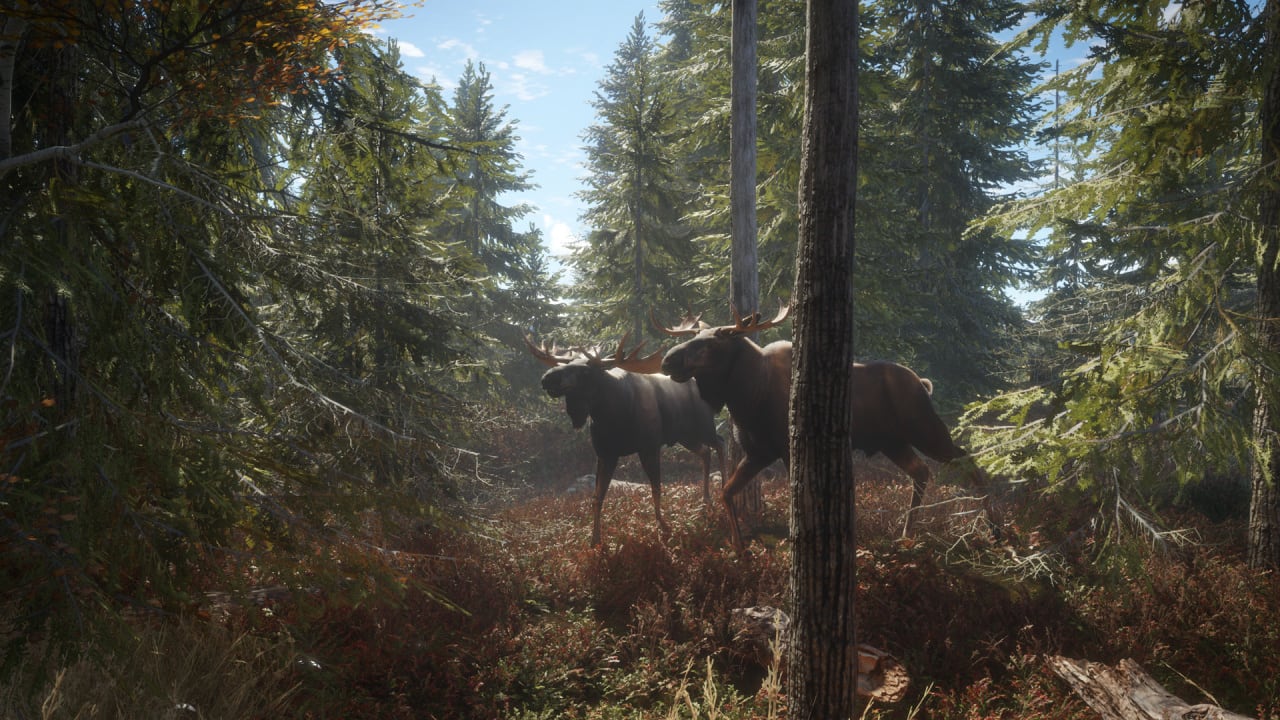 Screenshot #1 - theHunter: Call of the Wild