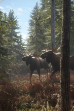 Screenshot #1 - theHunter: Call of the Wild