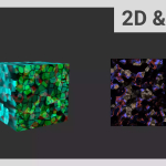 Screenshot #2 - CompuTextures v1.0.1