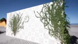 Screenshot #4 - Crazy Ivy Realistic Ivy Generator Vine Plugin - Grow Procedural Plants in Editor