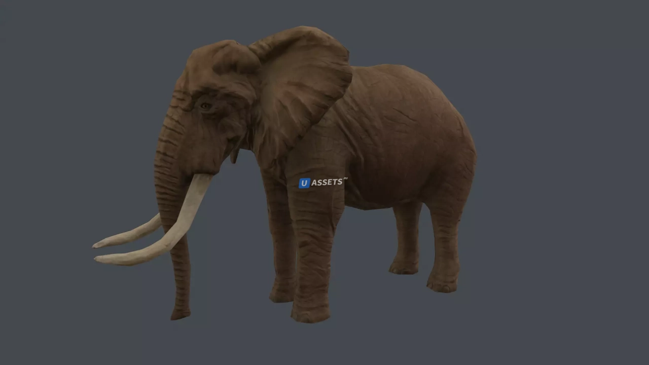 Screenshot #2 - Animal pack deluxe v2 1.0