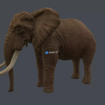 Screenshot #2 - Animal pack deluxe v2 1.0