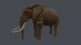 Screenshot #2 - Animal pack deluxe v2 1.0