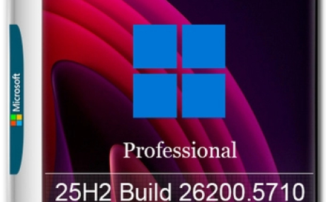 Windows 11 Pro 25H2 Build 26200.5710 Dev