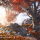Nature Shaders 2021