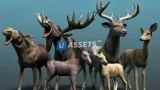 Screenshot #1 - Forest Animal - Deer & Moose Family Pack