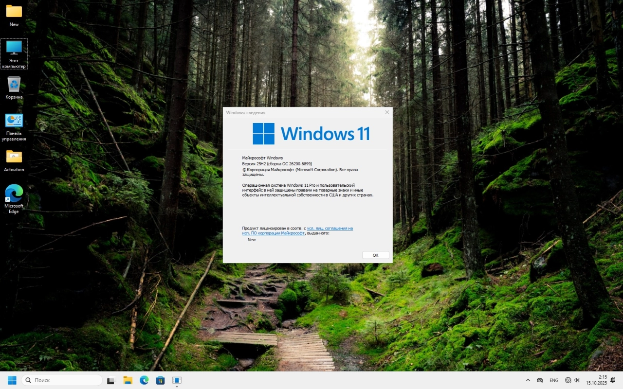 Screenshot #1 - Windows 11 Pro 25H2 Full без телеметрии 26200.6899 by Revision