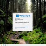 Screenshot #1 - Windows 11 Pro 25H2 Full без телеметрии 26200.6899 by Revision