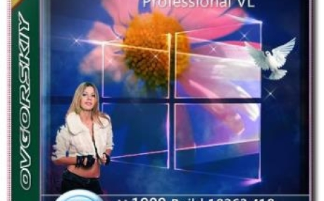 Windows 10 Professional VL v.1909.18363.418 by OVGorskiy v.10.2019  x64
