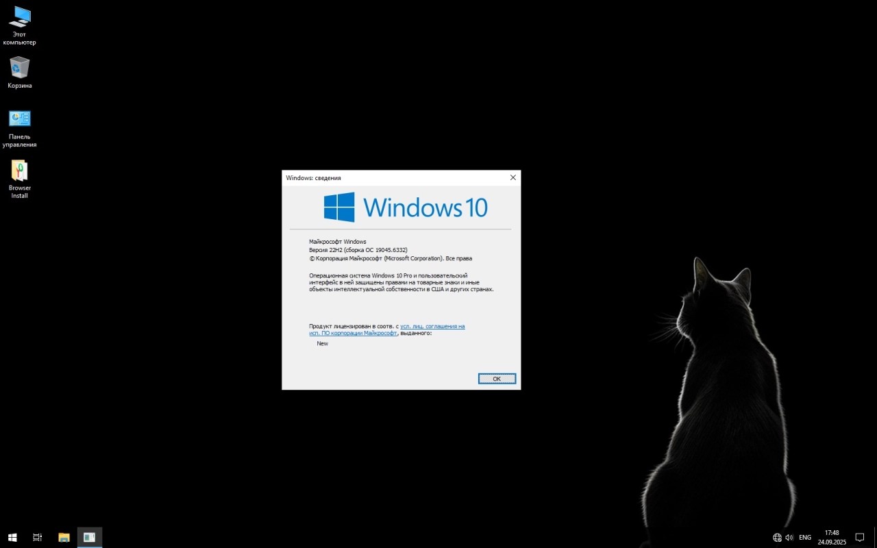 Screenshot #1 - Windows 10 x64 Pro Final Build 2025 by Revision