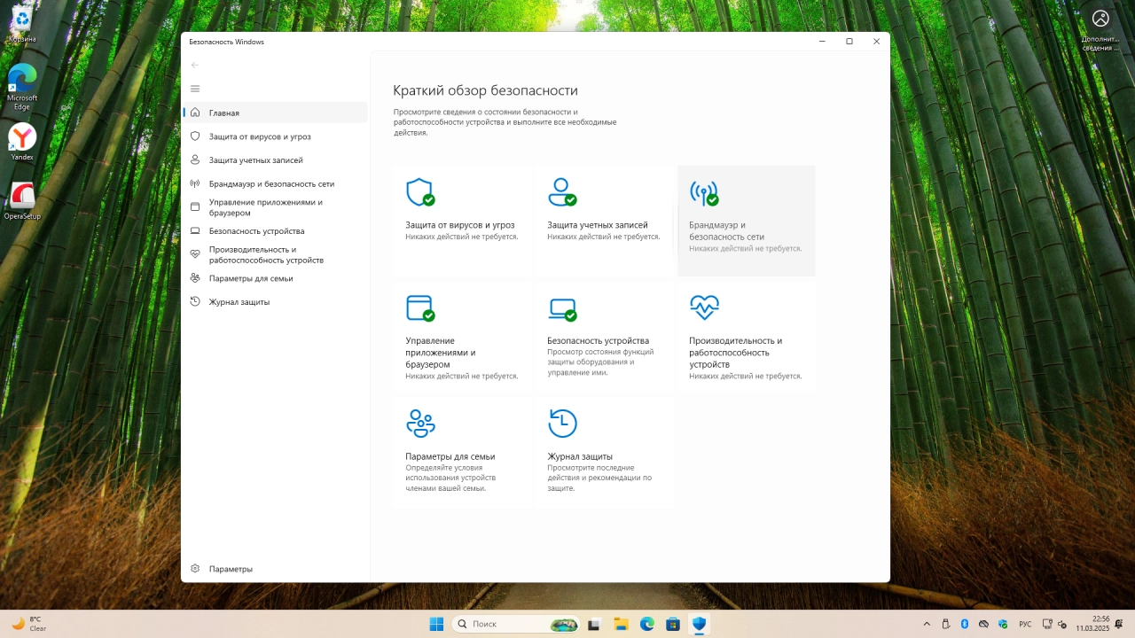 Screenshot #5 - Windows 11 Pro 24H2 Build 26100.3476 Full Март 2025