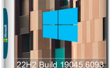 Windows 10 Tweak IoT Enterprise 22H2 Build 19045.6093