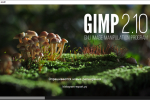 Screenshot #1 - GIMP