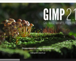 Screenshot #1 - GIMP