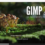 Screenshot #1 - GIMP