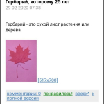 Screenshot #3 - WEBWRITER3 7.0