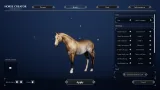 Screenshot #11 - Unbridled: That Horse Game