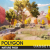 POLYGON - Nature Pack