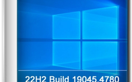 Windows 10 Pro 22H2 Build 19045.4780 Full August 2024