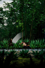 Screenshot #2 - the Shadow of Swallow