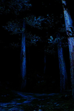 Screenshot #8 - BrokenLore: DON'T WATCH