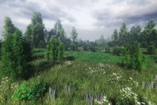 Nature Package - Swamp Forest Environment