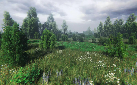 Nature Package - Swamp Forest Environment