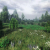 Nature Package - Swamp Forest Environment