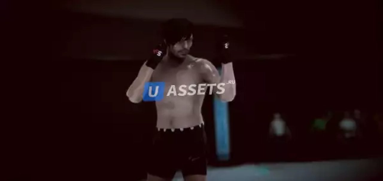 Screenshot #3 - Master Fighting System