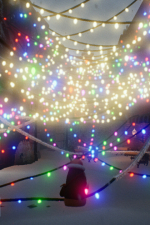 Screenshot #10 - Light Up The Town