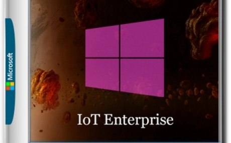 Windows 10 Lite IoT Enterprise 22H2 Build 19045.5965