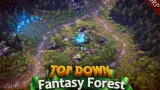 Screenshot #1 - Top Down - Fantasy Forest (HDRP)