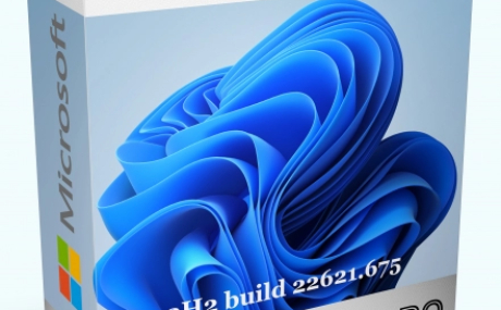 Windows 11 Pro 22H2 build 22621.675 Del Apps by WebUser