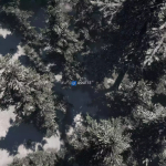 Screenshot #4 - Mountain Trees - Dynamic Nature