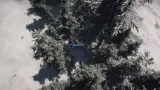 Screenshot #4 - Mountain Trees - Dynamic Nature