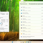 Screenshot #12 - Windows 11 Pro + IoT 24H2 Build 26100 2605 FullOS + GameOS + LiteOS by Revision