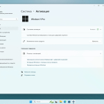 Screenshot #6 - Windows 11 Pro 23H2 Build 22631.5335 Full Май 2025
