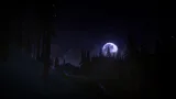 Screenshot #11 - The Long Dark