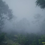 Screenshot #2 - Screen Space Fog Scattering