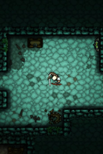 Screenshot #7 - Pocket Rogues