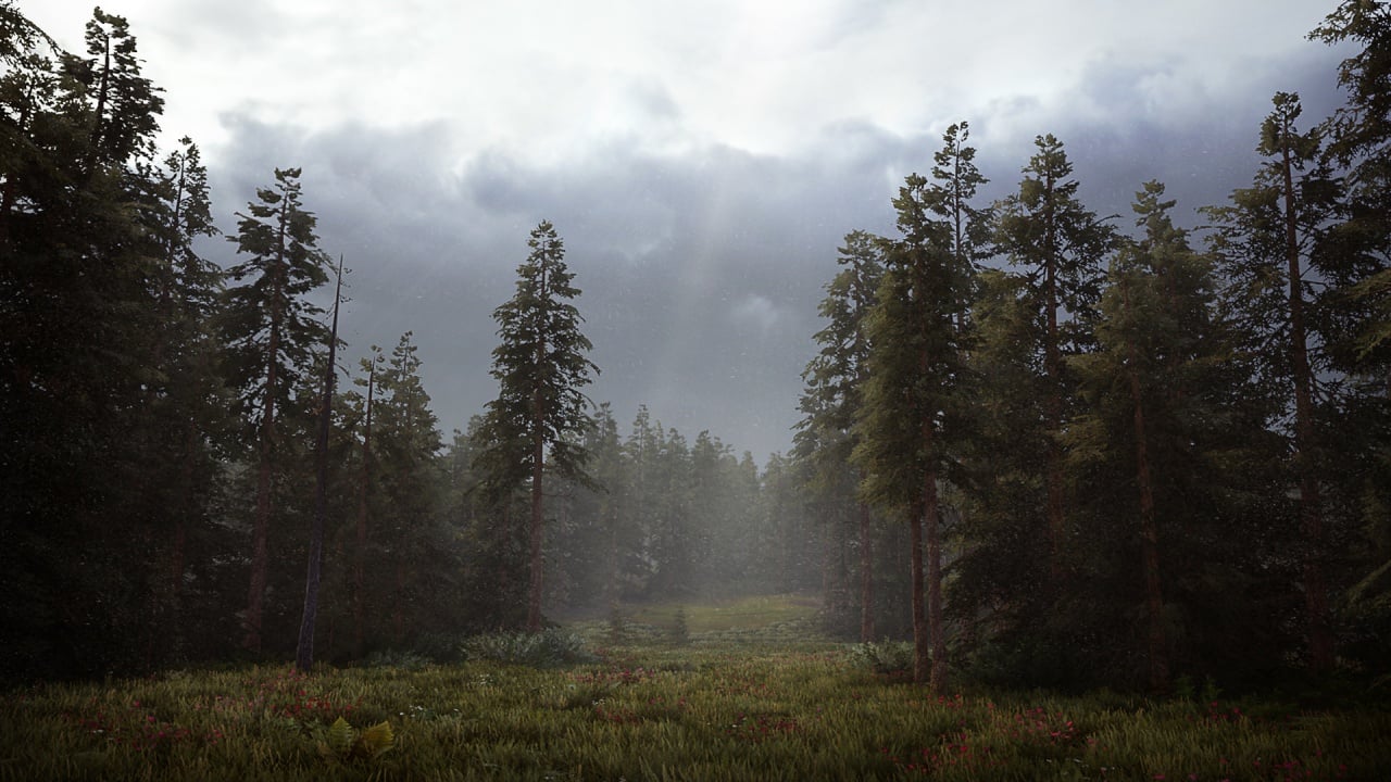 Screenshot #4 - Hunting Simulator 2
