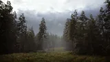 Screenshot #4 - Hunting Simulator 2