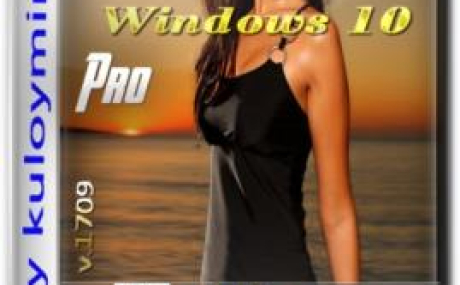 Windows 10 Pro 1709 x86/x64 by kuloymin v12 (ESD)