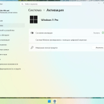 Screenshot #7 - Windows 11 Pro 25H2 Build 26200.6584 Lite Version
