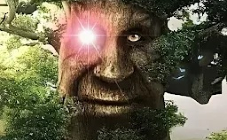 ПОБЕГ ОТ МУДРОГО ДУБА 25.10.2025