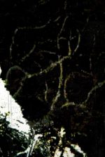 Screenshot #4 - Death In Abyss