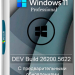 Windows 11 Pro Русская 24H2 Build 26200.5622 Dev