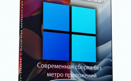 Windows 11 Pro 22H2 build 22621.521 Del Apps by WebUser