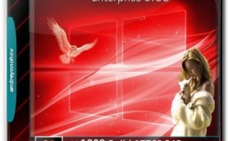 Windows 10 Enterprise LTSC 2019 17763.348 Version 1809 2DVD