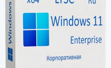 Windows 11 Enterprise LTSC x64 24H2 Русская by OVGorskiy 10.2024